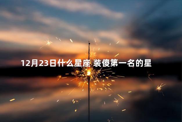 12月23日什么星座 装傻第一名的星座